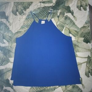 Blue Sleeveless Top